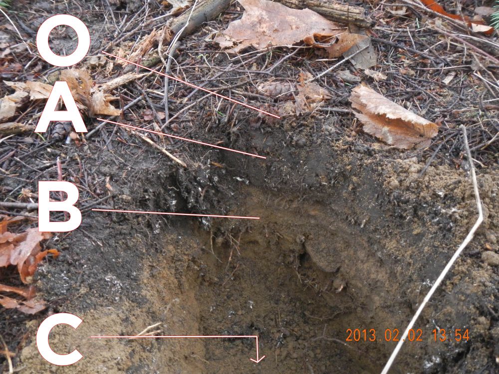 2013 Luke McGuff, Creative Commons Soil