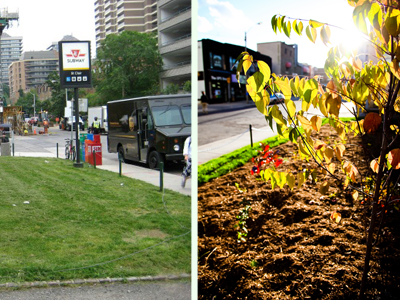 © 2013 Matthew Higginson / LEAF St. Clair Subway TTC Garden