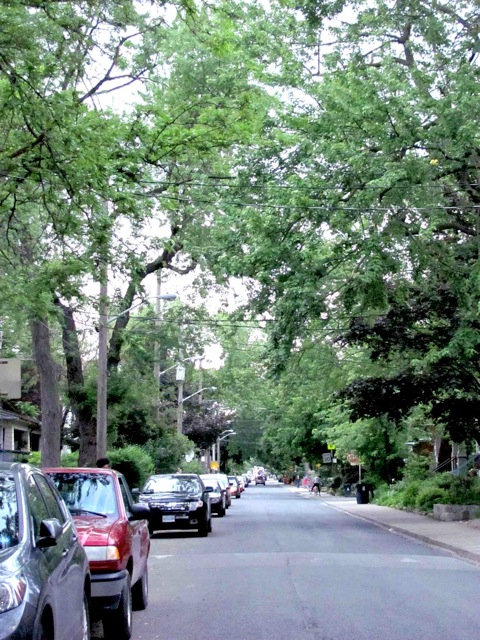 A neighbourhood worth saving