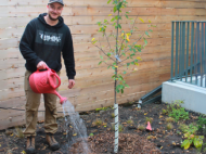 LEAF staff watering a newly planted tree