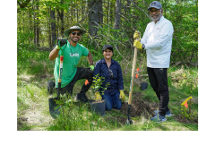LEAF staff and volunteers planting a tree at a community planting event.