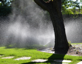 sprinkler spraying water on grass and tree trunk