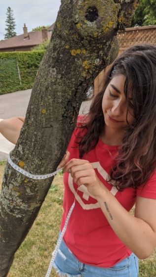 Young woman measuring girth of a tree trunk with measuring tape