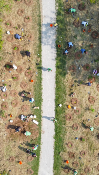 © 2022 Shane Russell / LEAF Overhead view of volunteers planting at community park