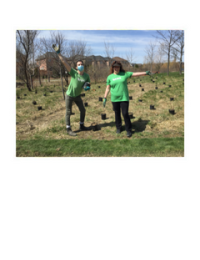 Two people in a field with many new trees to plant