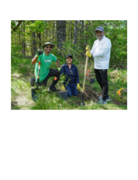 LEAF staff and volunteers planting a tree at a community planting event.