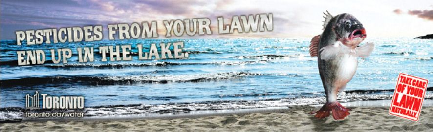 Public awareness campaign on pesticides in the city of Toronto