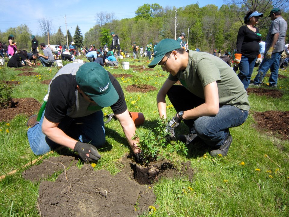 Toronto Hydro Planting Day