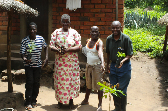 Tree planting in Malawi