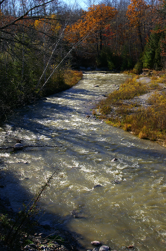 2010 Vlad Litvinov, Creative Commons Rouge park in the fall colours