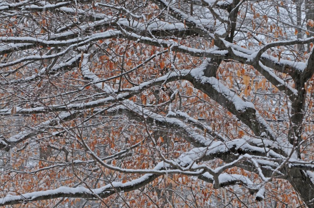 2011 Lee Casebere / flickr commons