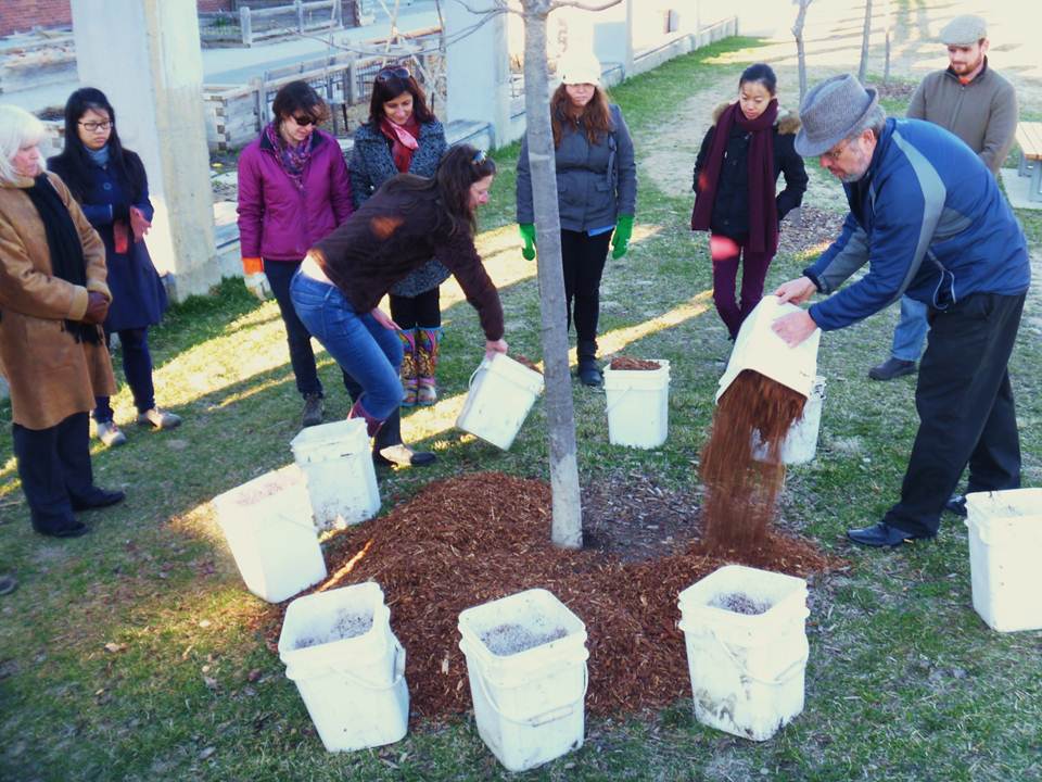 Tree Mulching Demo