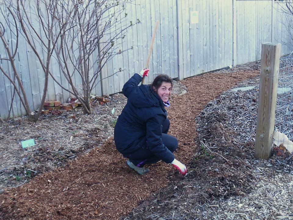 Stewarding the LEAF Learning Garden