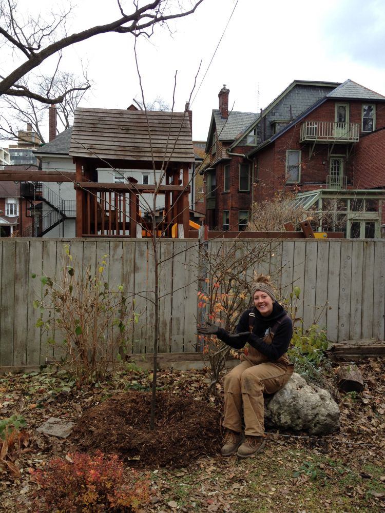 LEAF arborist in the field