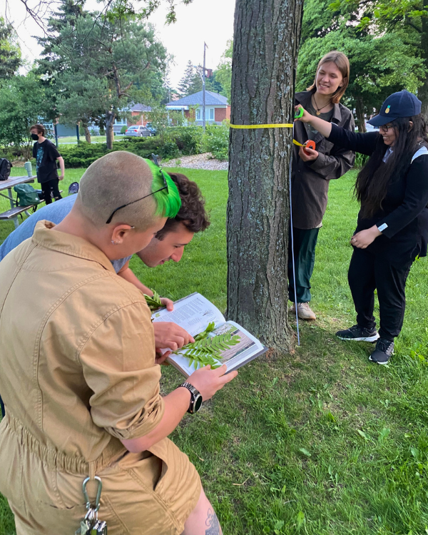 © 2023 Kristen Bedley / LEAF Two people in the foreground identifying a leaf with a book and two people in the background measuring the circumference of a tree trunk