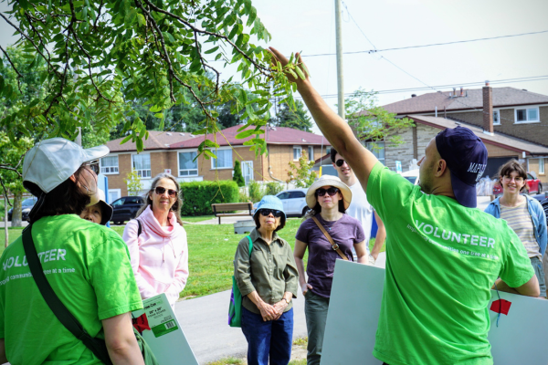 © 2023 Kanchan Maharaj / LEA We see the backs of two people in green LEAF volunteer shirts pointing up at a branch during a tree tour. There are 7 people in the background attentively listening to the presentation